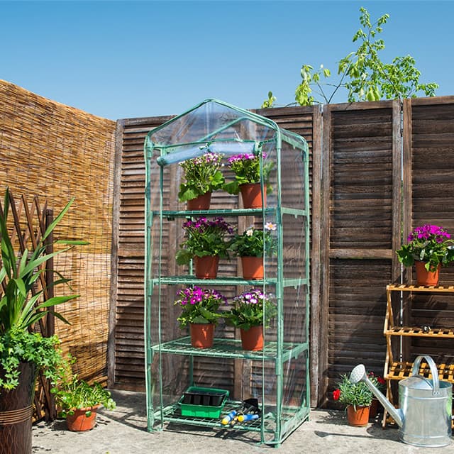 mini greenhouse