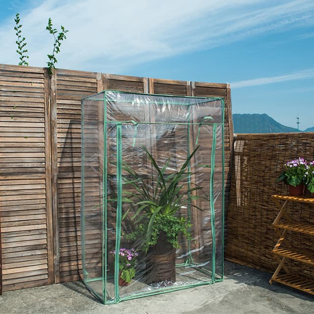 tomato greenhouse