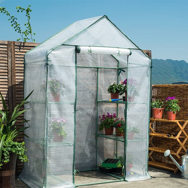 walk-in greenhouse